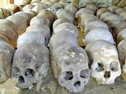 731KF skulls
